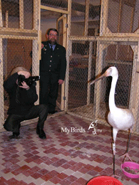 Центр реабилитации птиц - БРОО